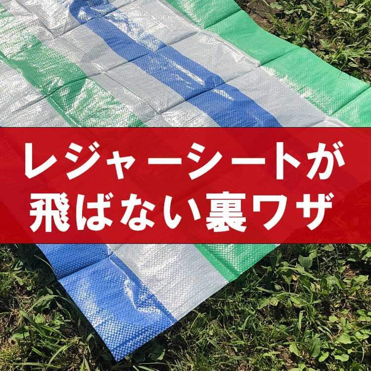 え、それだけ!?【レジャーシート飛ばされる問題】がたちまち解決!感涙モノの“絶対知っておきたい裏ワザ”を紹介!