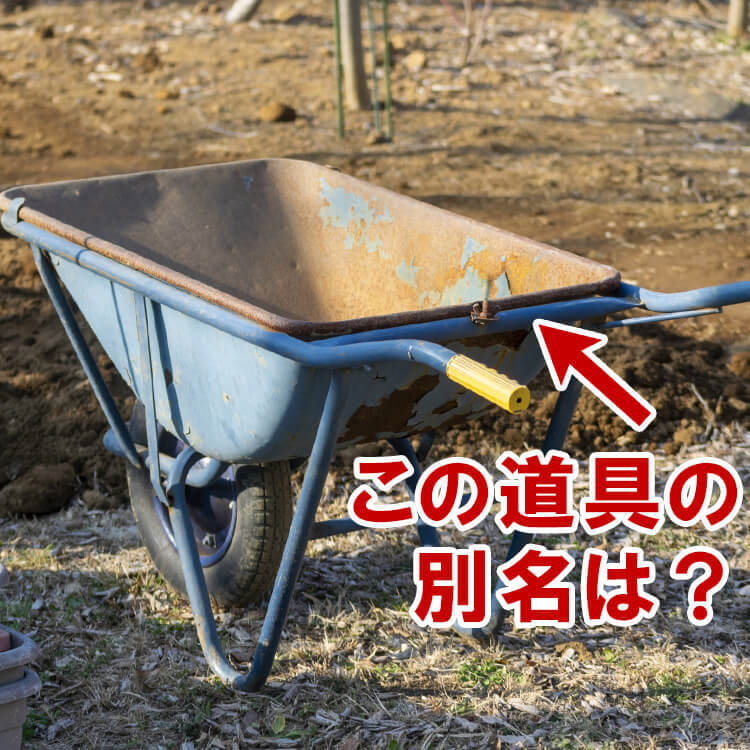 工事現場で活躍する「ねこ」って知ってる?かわいいけど頼りになる!意外な名前の由来とは【子どもに教えたい豆知識】