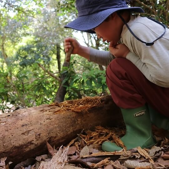 好きなことをとことん極められる子は何が違う?どの子にもある「好きの芽」を伸ばすために親ができること