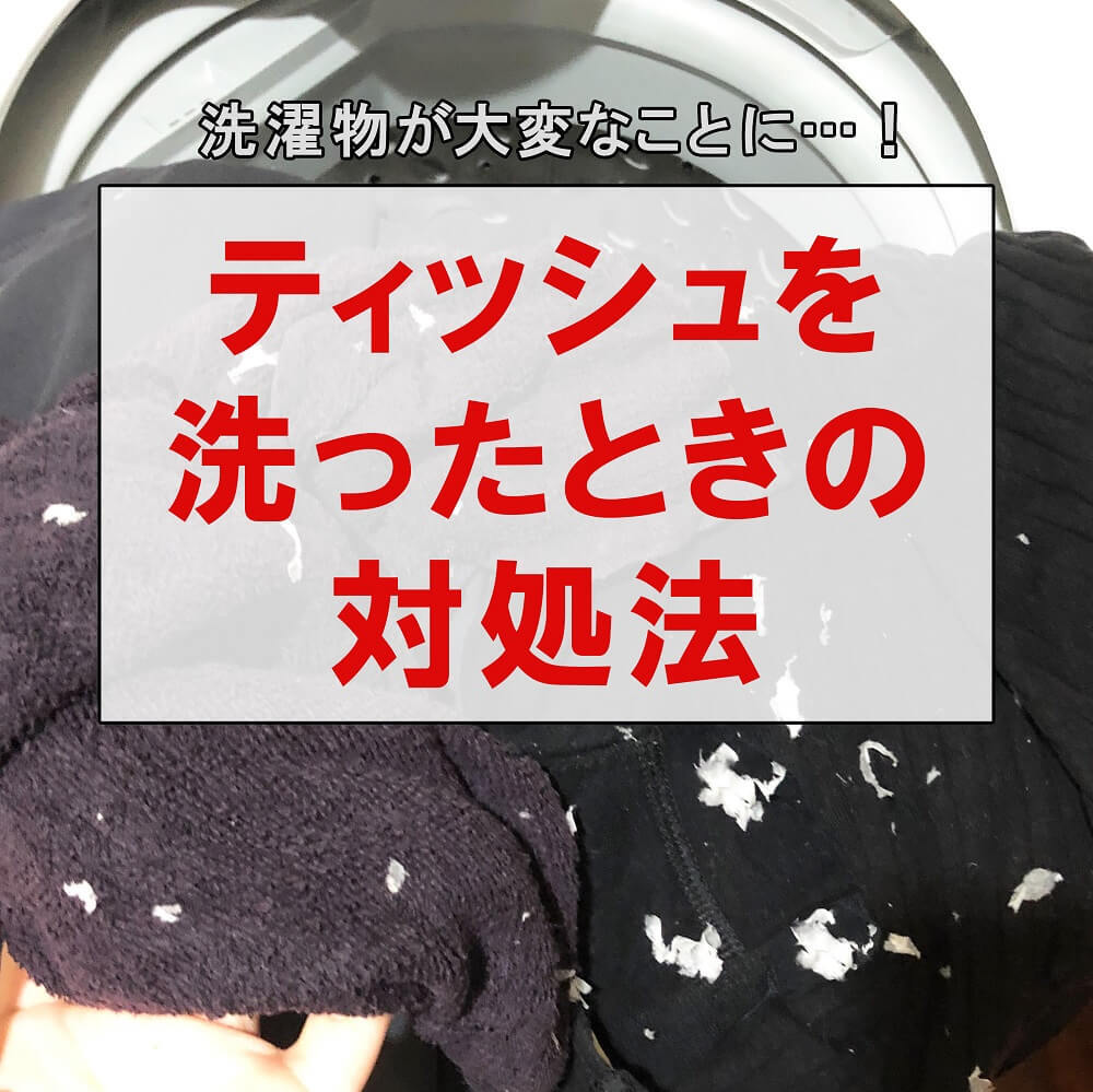洗濯物がティッシュまみれ(泣)!キッチンのアレで本当にポロポロ取れるのか裏ワザを検証してみた
