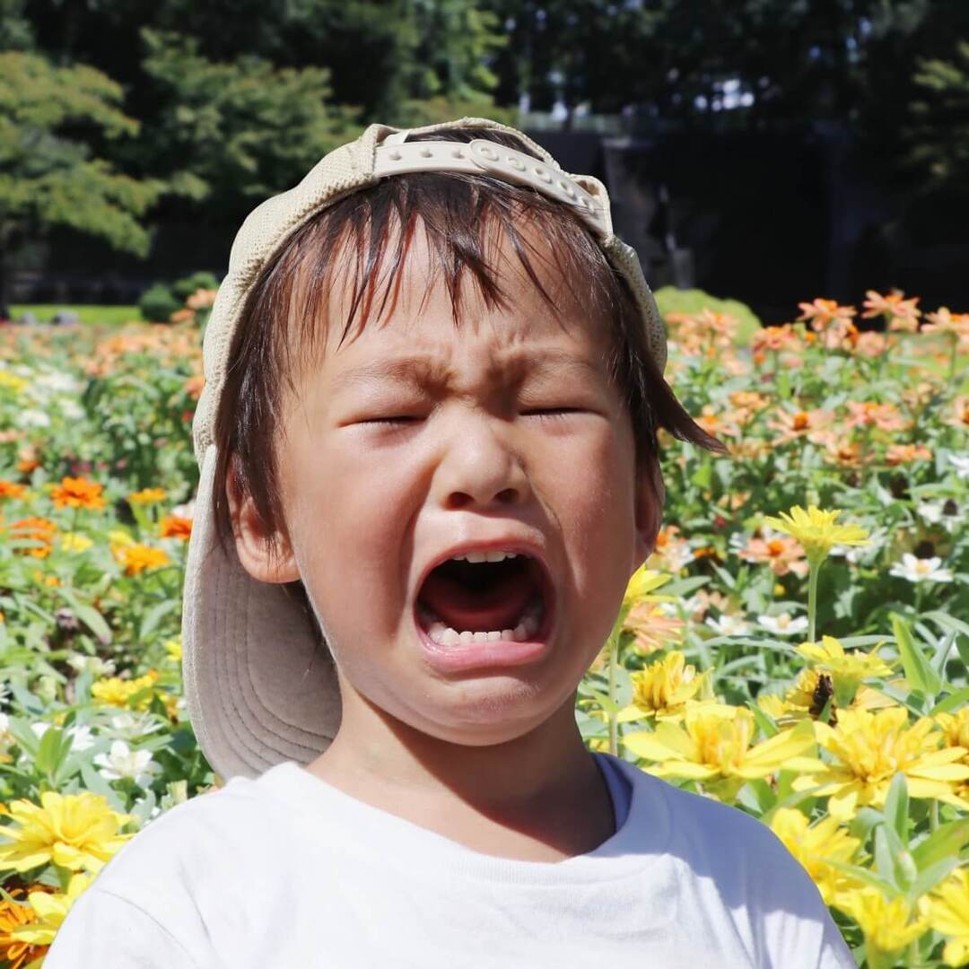 育児のイライラは9割が親の勘違い!?「絶対に怒らない子育て」を実践したら意外とうまくいった!