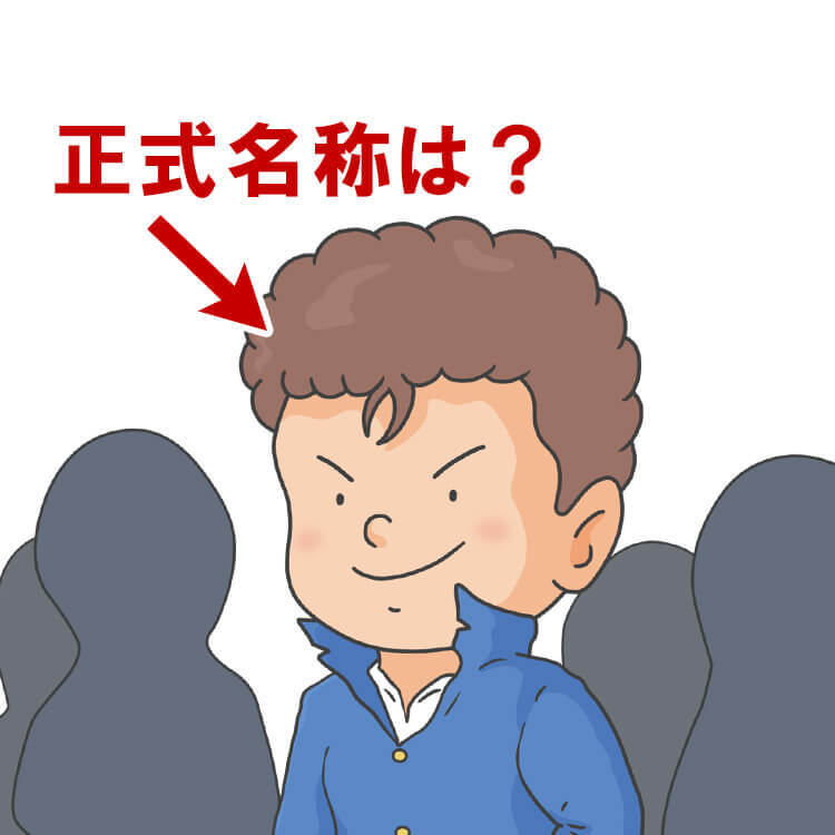 「パンチパーマ」は正式名称じゃない!?実は日本生まれのかっこいい名前があった!【人に教えたい豆知識】
