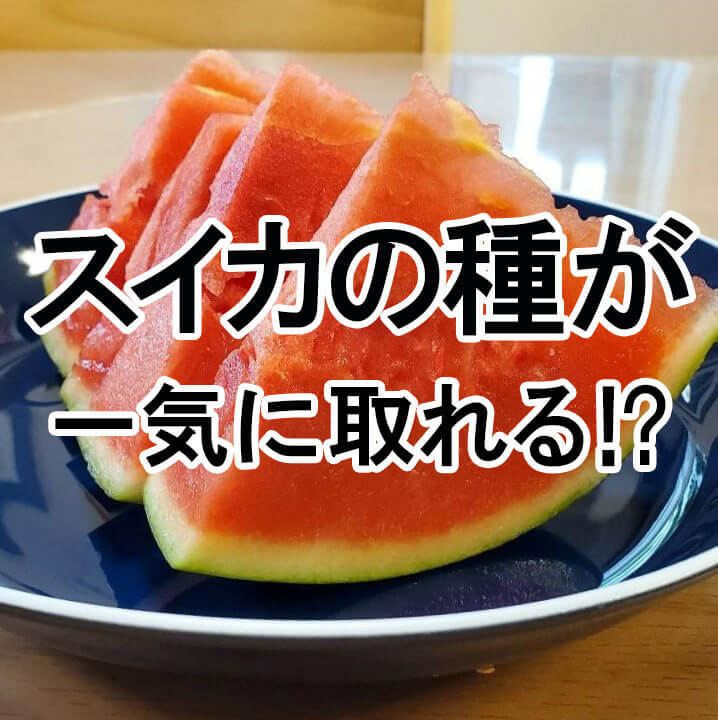 「スイカの種を一気に取り除ける切り方」に感動!ちまちま種を取るプチストレスから解放された(感涙)
