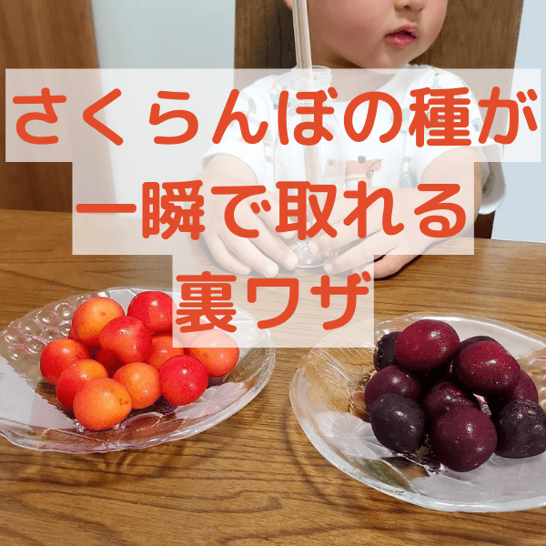 さくらんぼの種がスポンと一瞬で抜ける!?家にあるものでできちゃう種取りの裏ワザ!