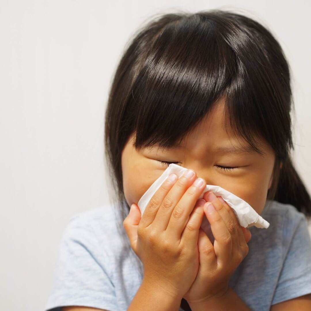 花粉症は桜やチューリップでは起こらない!?子どもに聞かれてもこれで完璧!つらい症状のしくみを徹底解説!